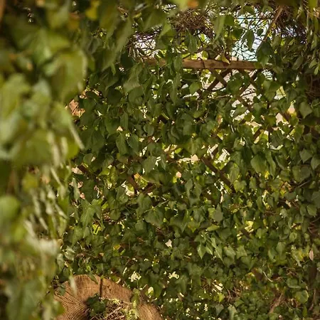 Secret Garden Liliad - *