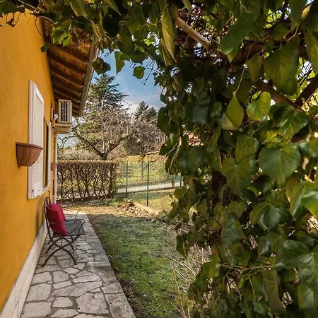 Apartment Secret Garden Liliad - *