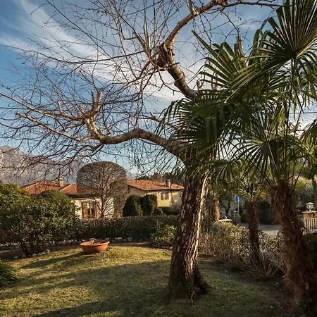 Secret Garden Liliad - *