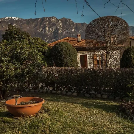 Secret Garden Liliad - *