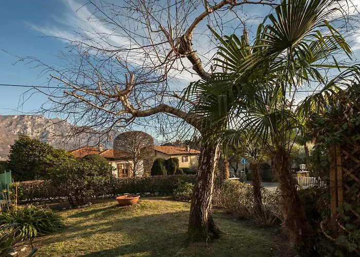 Secret Garden Liliad - *