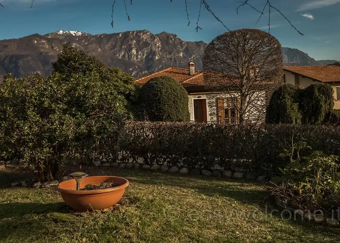 Secret Garden Liliad - *